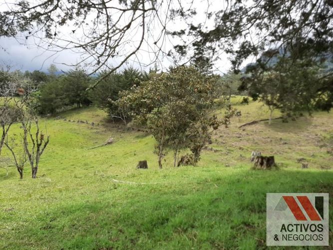 Lote en venta en El Tambo, La Ceja, 45700 m² · foto 6 de 16