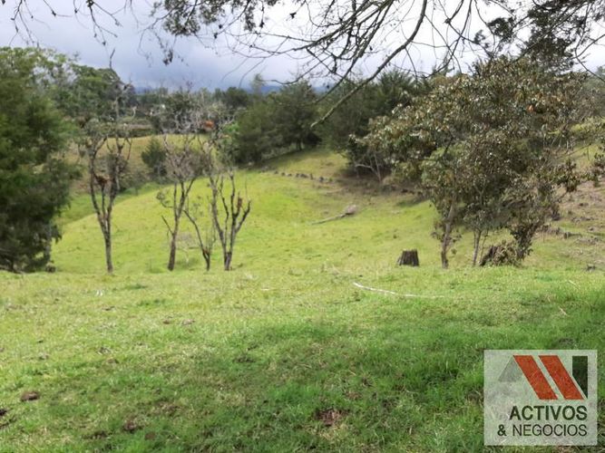 Lote en venta en El Tambo, La Ceja, 45700 m² · foto 7 de 16
