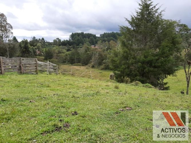 Lote en venta en El Tambo, La Ceja, 45700 m² · foto 8 de 16