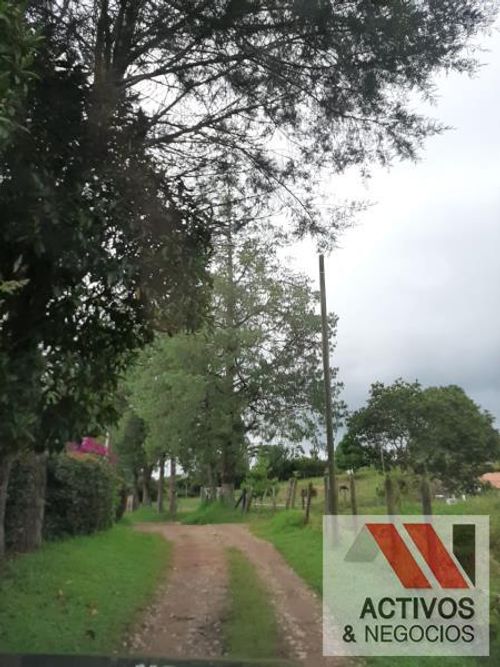 Lote en venta en El Tambo, La Ceja, 45700 m² · foto 10 de 16