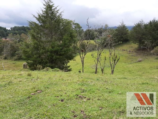 Lote en venta en El Tambo, La Ceja, 45700 m² · foto 11 de 16