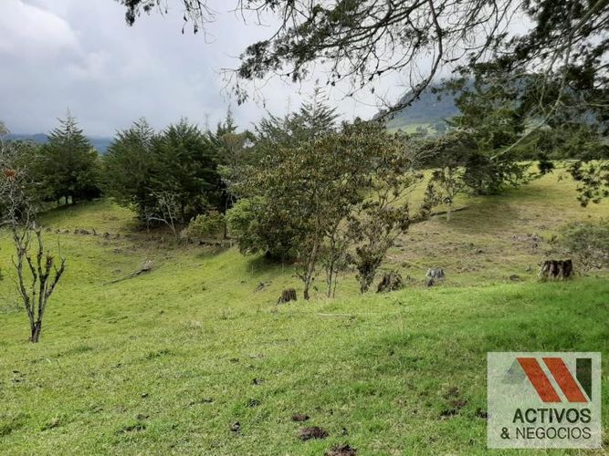 Lote en venta en El Tambo, La Ceja, 45700 m² · foto 12 de 16