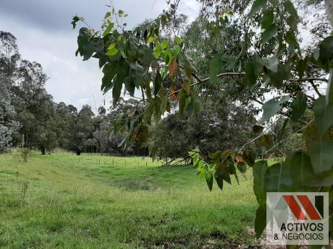 Lote en venta en El Tambo, La Ceja, 45700 m² · foto 13 de 16