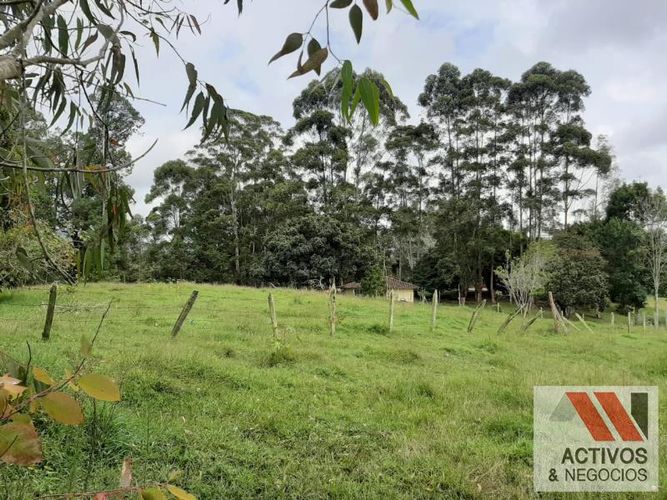 Lote en venta en El Tambo, La Ceja, 45700 m² · foto 14 de 16