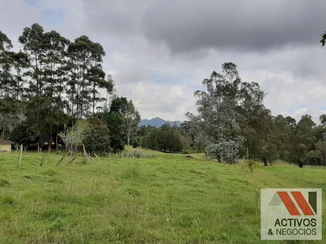 Lote en venta en El Tambo, La Ceja, 45700 m² · foto 15 de 16