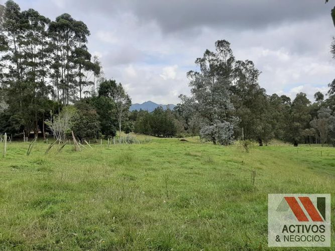 Lote en venta en El Tambo, La Ceja, 45700 m² · foto 16 de 16