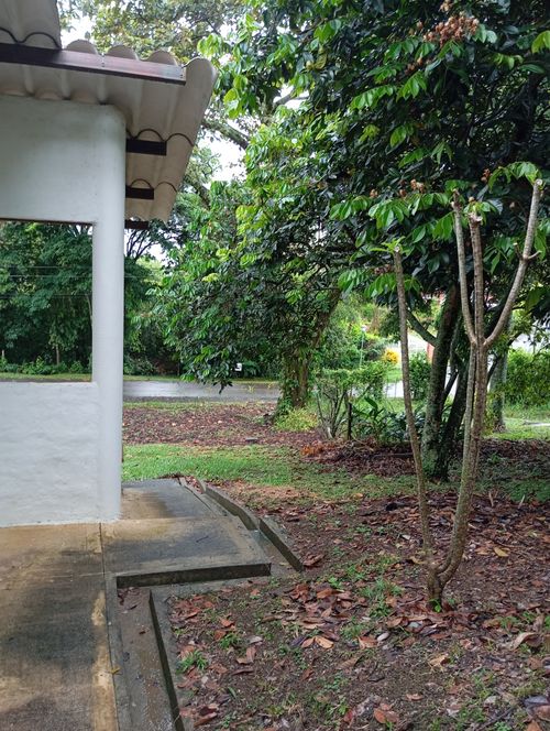 Casa de 4 alcobas en venta en Potrerito, Jamundí, 1546 m² · foto 14 de 24