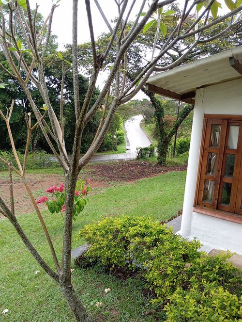Casa de 4 alcobas en venta en Potrerito, Jamundí, 1546 m² · foto 21 de 24