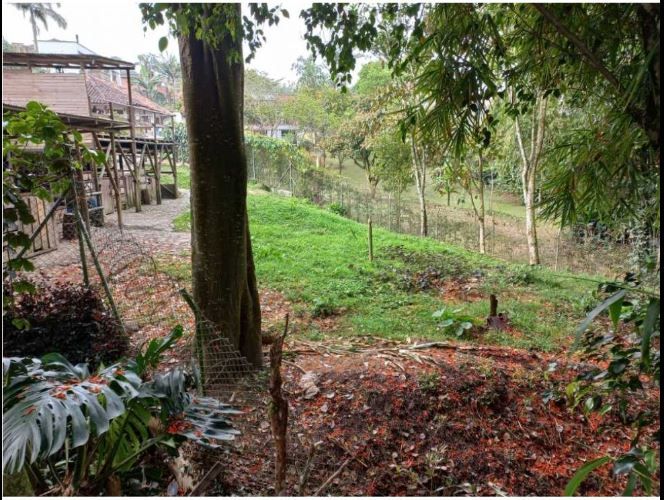 Casa de 3 alcobas en venta en La Sebastiana, Envigado, 724 m² · foto 17 de 22