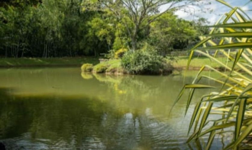 Lote en venta en Potrerito, Jamundí, 1629 m² · foto 5 de 12