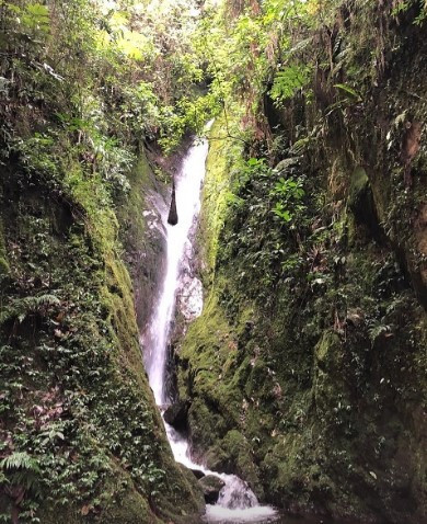 Image 3 du bien annoncé à Medellín