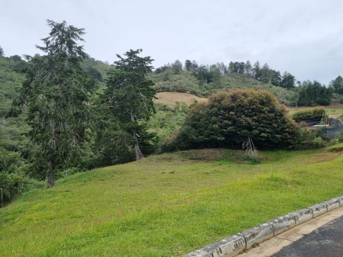 Lote en venta en El Chuscal, El Retiro, 1047 m² · foto 3 de 6
