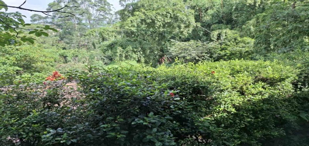 Casa de 3 alcobas en venta en El Chingui, Envigado, 475 m² · foto 22 de 24