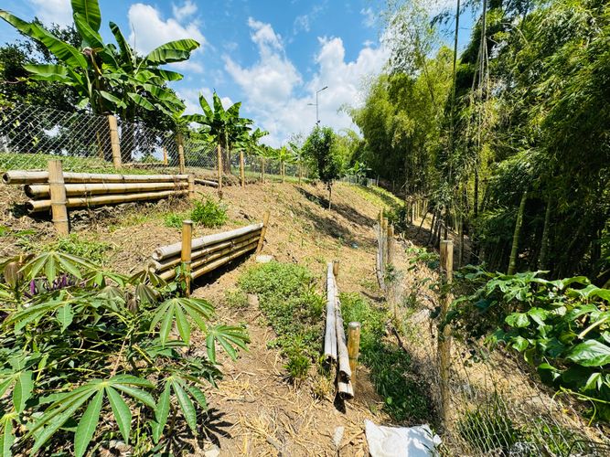 Casa de 4 alcobas en venta en Pueblito Cafetero, Pereira, 420 m² · foto 22 de 24