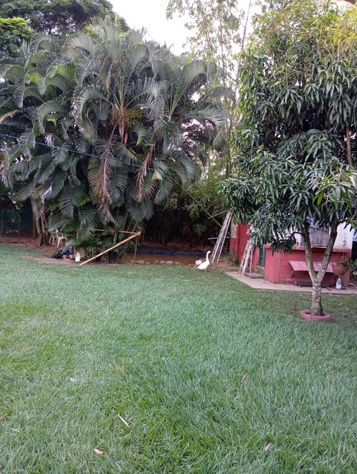 Finca en venta en San Antonio, Jamundí, 3200 m² · foto 2 de 24