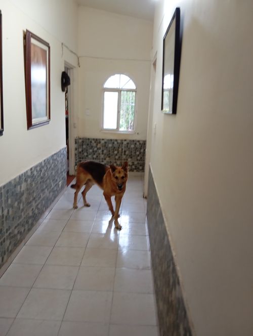 Finca en venta en San Antonio, Jamundí, 3200 m² · foto 10 de 24