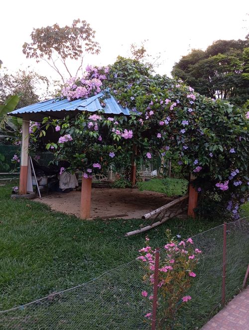 Finca en venta en San Antonio, Jamundí, 3200 m² · foto 17 de 24
