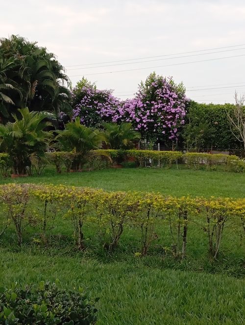 Finca en venta en San Antonio, Jamundí, 3200 m² · foto 20 de 24