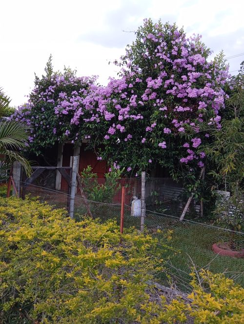 Finca en venta en San Antonio, Jamundí, 3200 m² · foto 21 de 24