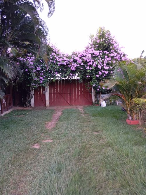 Finca en venta en San Antonio, Jamundí, 3200 m² · foto 24 de 24