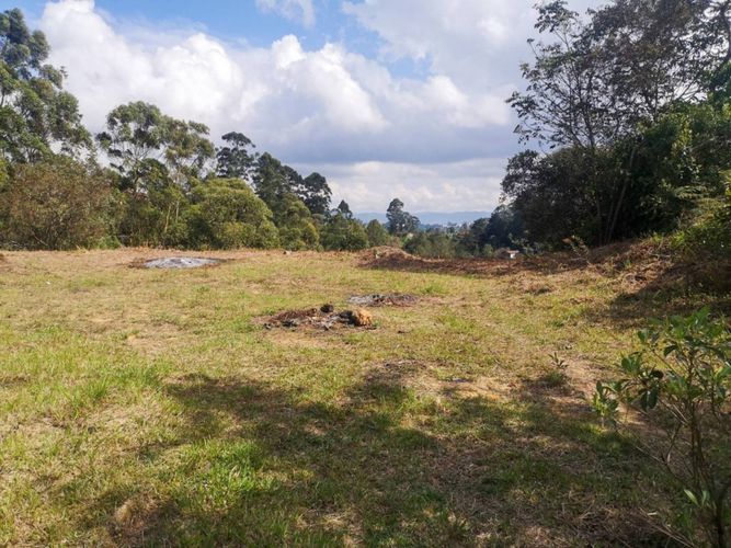 Lote en venta en Los Pinos, Rionegro, 10965 m² · foto 2 de 15