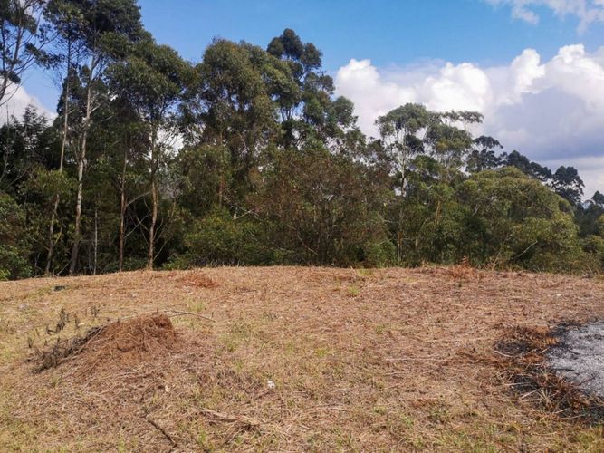 Lote en venta en Los Pinos, Rionegro, 10965 m² · foto 3 de 15