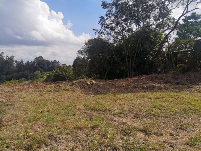 Lote en venta en Los Pinos, Rionegro, 10965 m² · foto 4 de 15