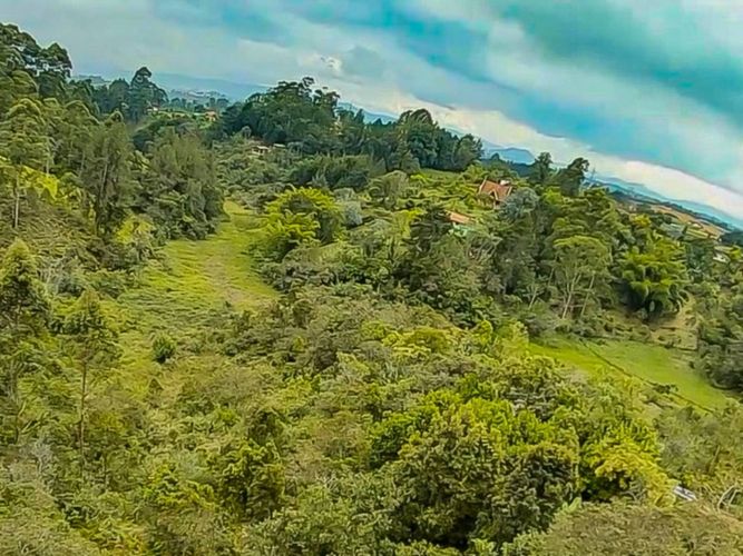 Lote en venta en Los Pinos, Rionegro, 10965 m² · foto 8 de 15