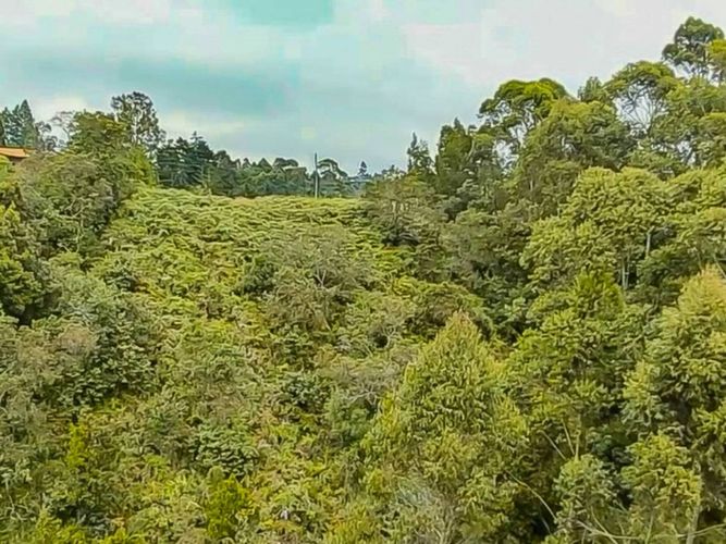 Lote en venta en Los Pinos, Rionegro, 10965 m² · foto 9 de 15