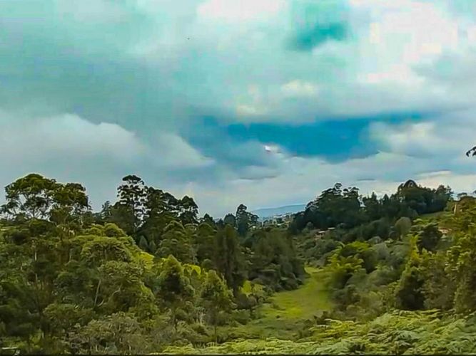 Lote en venta en Los Pinos, Rionegro, 10965 m² · foto 11 de 15