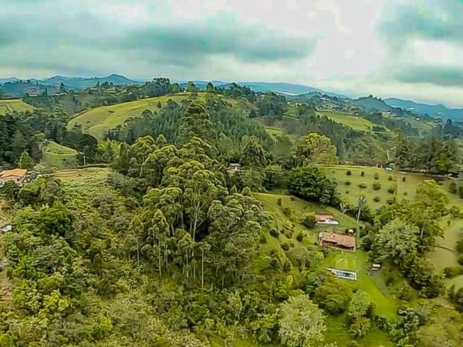 Lote en venta en Los Pinos, Rionegro, 10965 m² · foto 12 de 15