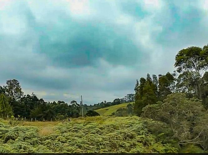 Lote en venta en Los Pinos, Rionegro, 10965 m² · foto 13 de 15