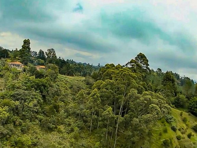 Lote en venta en Los Pinos, Rionegro, 10965 m² · foto 14 de 15