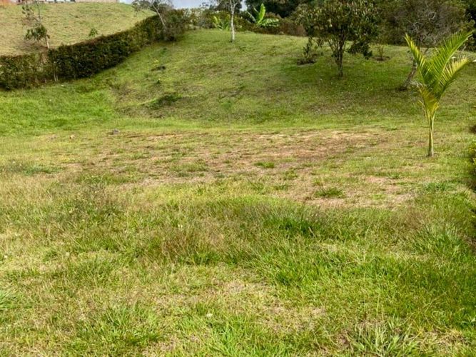 Lote en venta en La Milagrosa, Marinilla, 3500 m² · foto 6 de 10