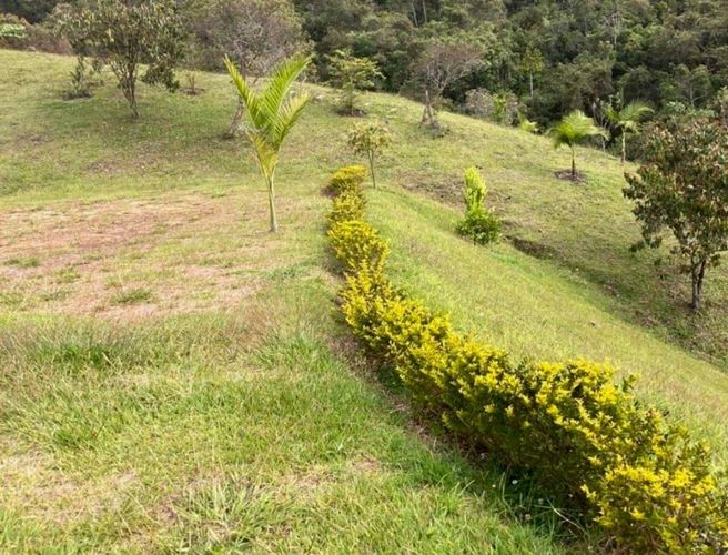 Lote en venta en La Milagrosa, Marinilla, 3500 m² · foto 8 de 10