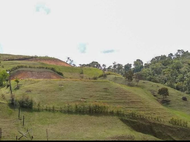 Lote en venta en La Milagrosa, Marinilla, 3500 m² · foto 10 de 10