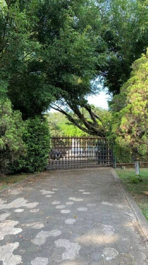 Lote en venta en Pance, Cali, 6000 m² · foto 4 de 13
