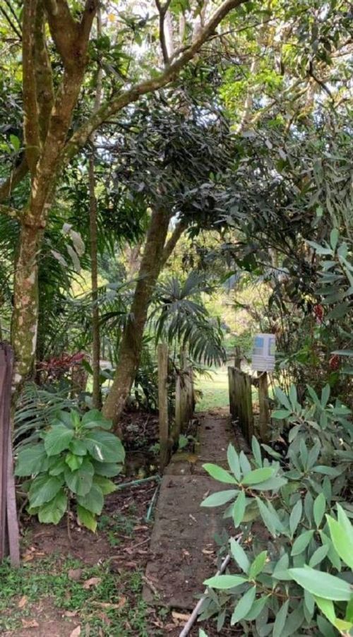 Lote en venta en Pance, Cali, 6000 m² · foto 5 de 13