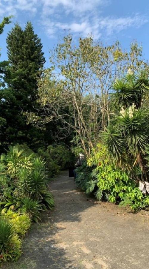 Lote en venta en Pance, Cali, 6000 m² · foto 6 de 13