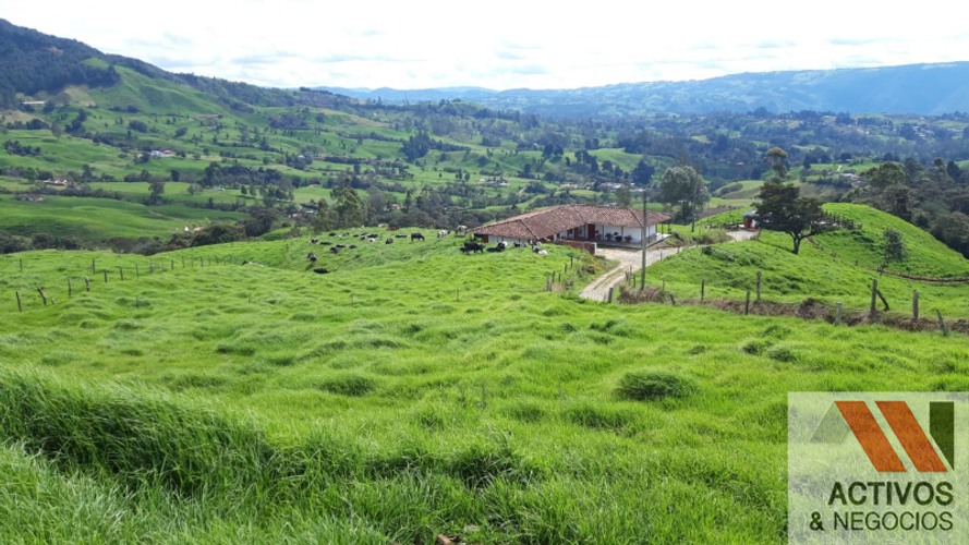 Finca en venta en Sabanalarga, Bello · foto 7 de 22