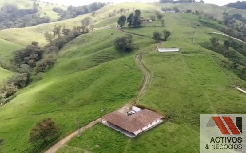 Finca en venta en Sabanalarga, Bello · foto 8 de 22