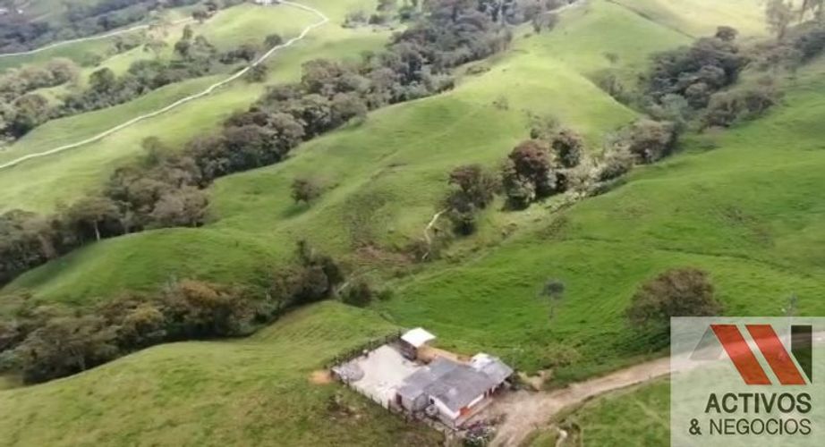 Finca en venta en Sabanalarga, Bello · foto 9 de 22