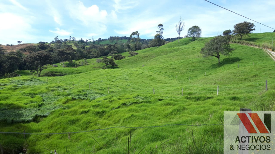 Finca en venta en Sabanalarga, Bello · foto 13 de 22