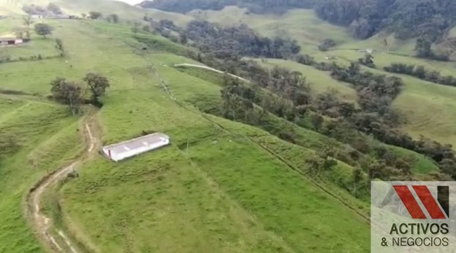Finca en venta en Sabanalarga, Bello · foto 16 de 22