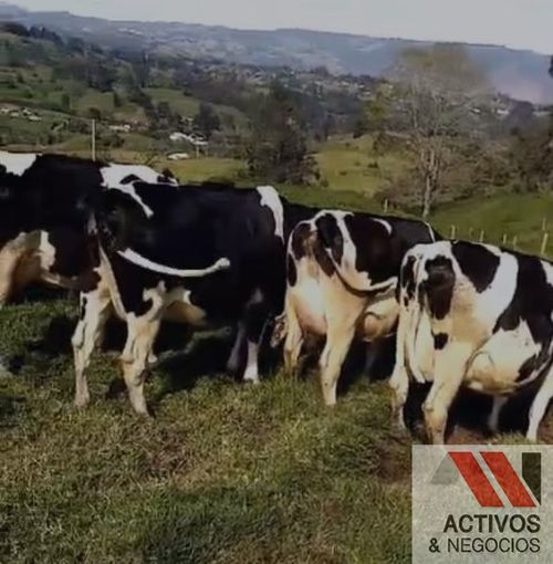 Finca en venta en Sabanalarga, Bello · foto 22 de 22