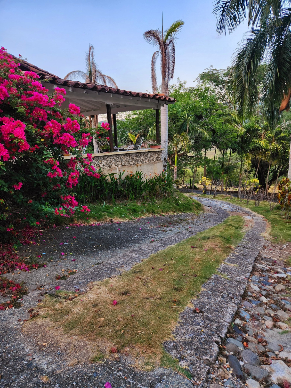 Finca en venta en Laureles, Medellín [No disponible] 2
