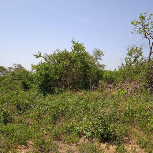 Lote en venta en Rural, Puerto Colombia, 3500 m² · foto 3 de 9