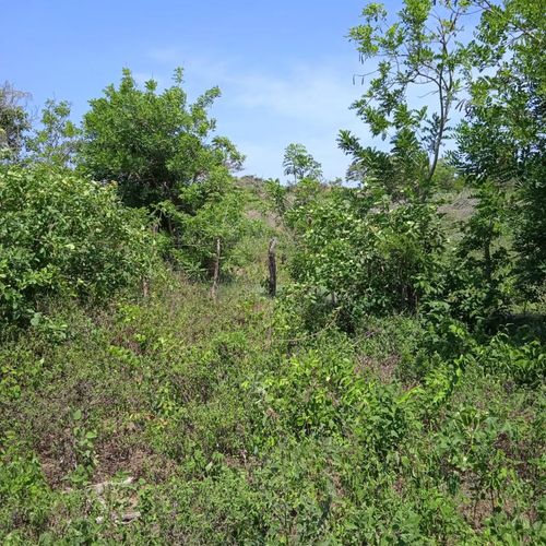 Lote en venta en Rural, Puerto Colombia, 3500 m² · foto 5 de 9
