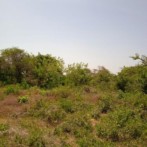 Lote en venta en Rural, Puerto Colombia, 3500 m² · foto 6 de 9