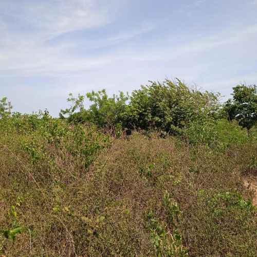 Lote en venta en Rural, Puerto Colombia, 3500 m² · foto 7 de 9